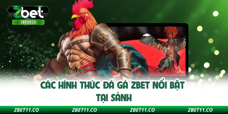 Các hình thức đá gà Zbet nổi bật tại sảnh