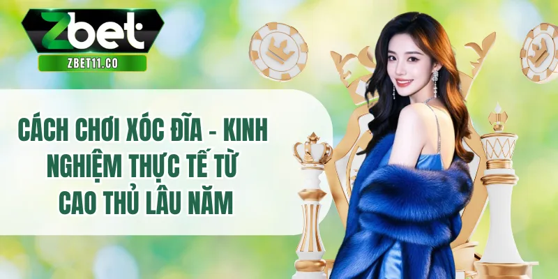 Cách Chơi Xóc Đĩa - Kinh Nghiệm Thực Tế Từ Cao Thủ Lâu Năm