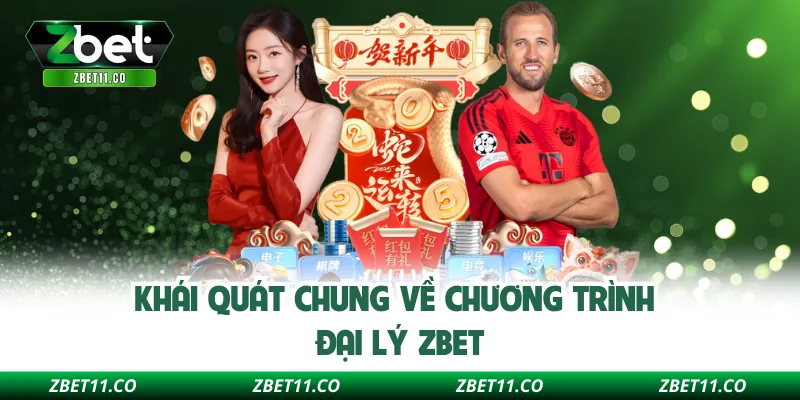 Khái quát chung về chương trình đại lý ZBET