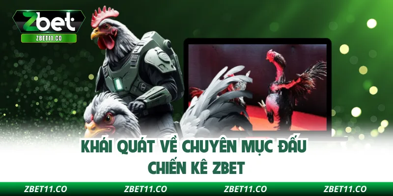 Khái quát về chuyên mục đấu chiến kê Zbet