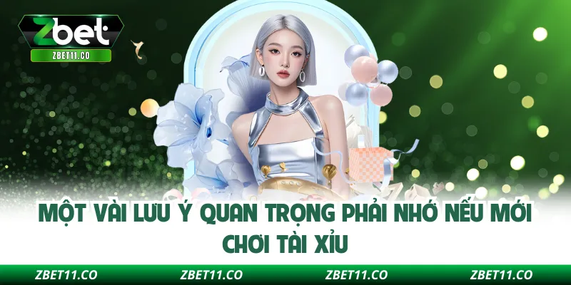 Một vài lưu ý quan trọng phải nhớ nếu mới chơi Tài Xỉu