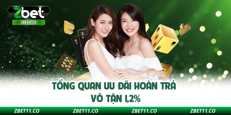 Tổng quan ưu đãi hoàn trả vô tận 1,2%