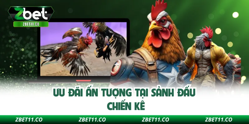 Ưu đãi ấn tượng tại sảnh đấu chiến kê